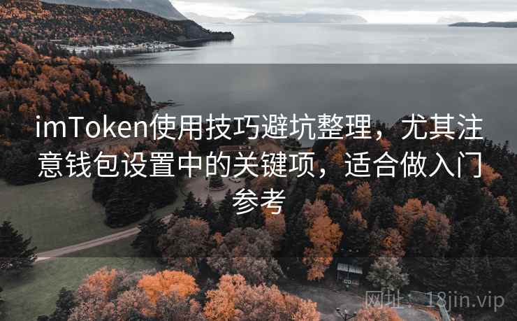 <strong>imtoken</strong>使用技巧避坑整理，尤其注意钱包设置中的关键项，适合做入门参考